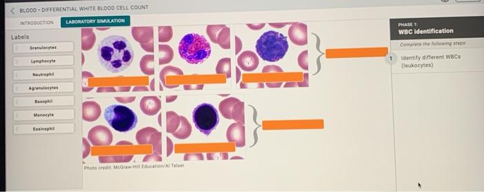 Mcgraw hill connect blood lab answers