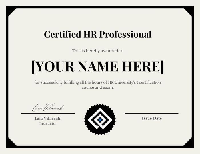 R3 hr professional dl exam