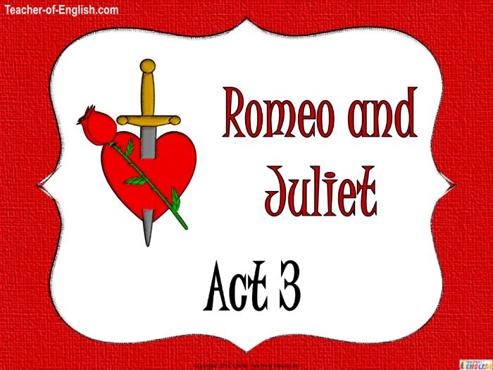 Romeo and juliet act 3 reading guide