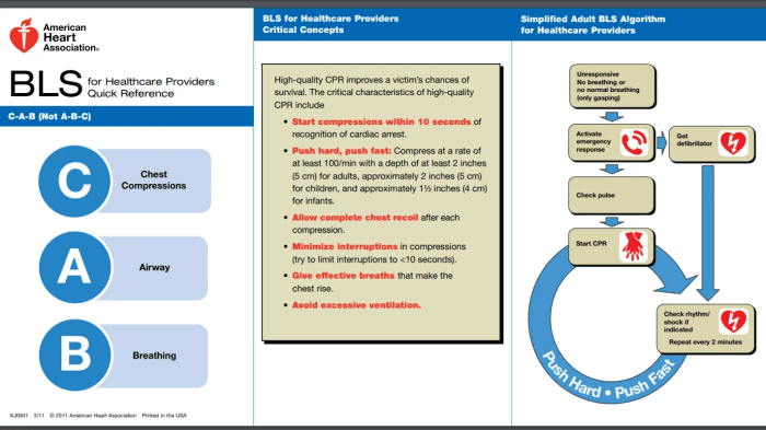 Aha bls questions and answers pdf