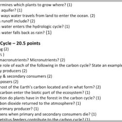 Cycles worksheet answers carbon cycle