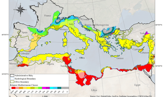 Reference thematic maps