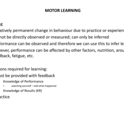 Motor imitation skills are important precursor skills for verbal behavior